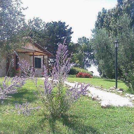 Casale Dinelli Villa Tarquinia Room photo