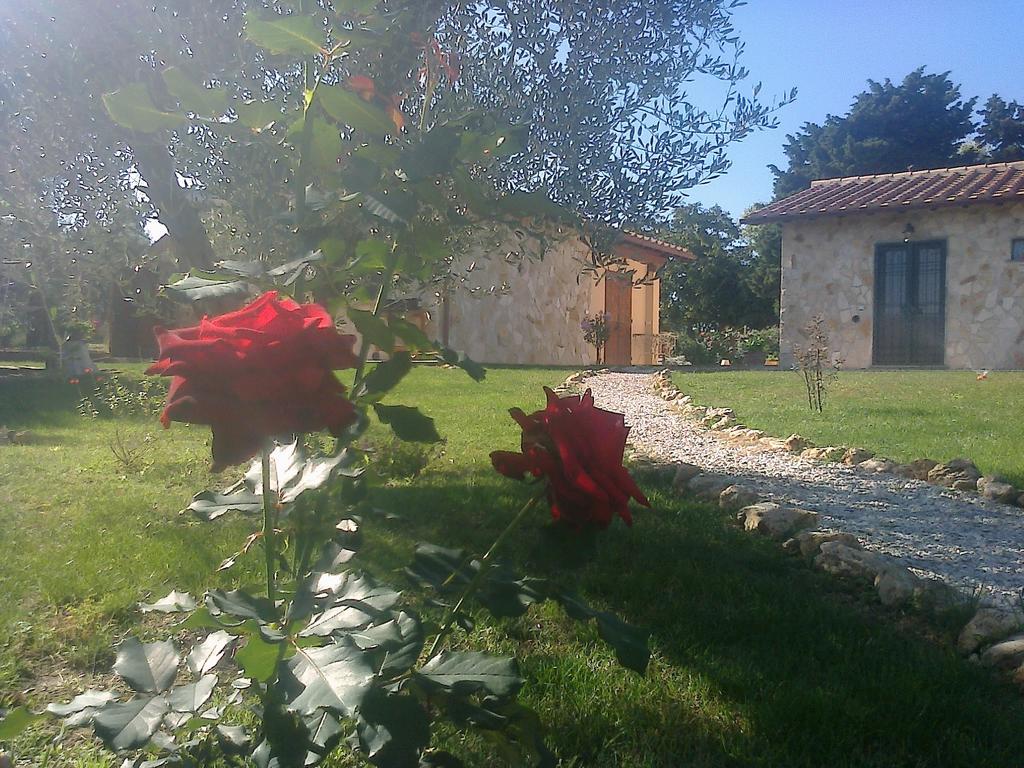 Casale Dinelli Villa Tarquinia Room photo